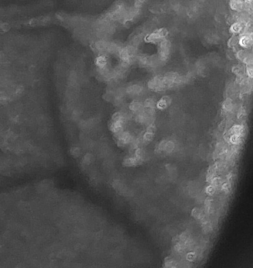 1918/7-D-Or-1913-D-Type-2?-Has-Me-Stumped!